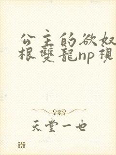 公主的欲奴h四根双龙np视频