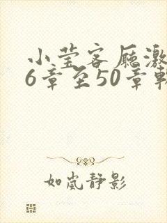 小莹客厅激情46章至50章软件介绍封面