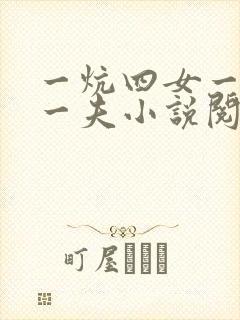 一炕四女一共侍一夫小说阅读