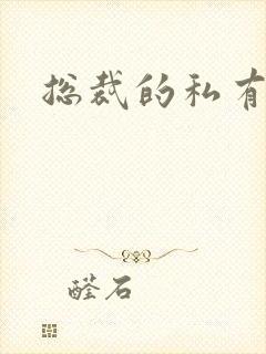 总裁的私有宝贝