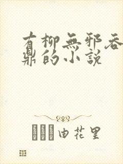 有柳无邪吞天神鼎的小说