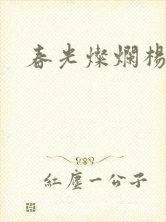 春光灿烂杨家将