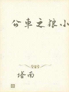 公车之狼小说