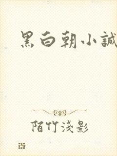 黑白朝小诚封面