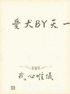 爱犬BY天一封面