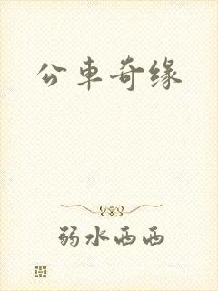 公车奇缘