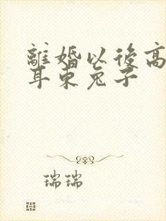 离婚以后高干 耳东兔子