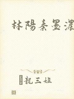 林阳秦墨浓度封面