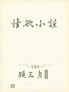 情欲小说封面