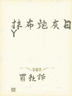 抹布炮灰日记BY