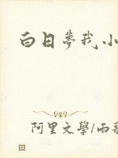 白日梦我小说
