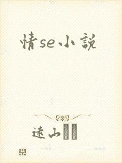 情se小说