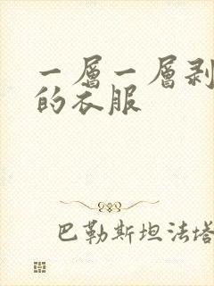 一层一层剥掉你的衣服