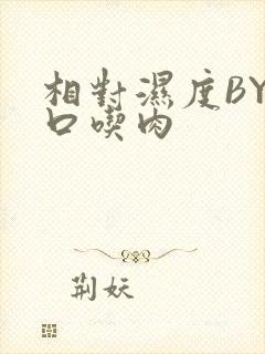 相对湿度BY大口吃肉