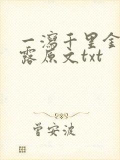 一泻千里金银花露原文txt封面