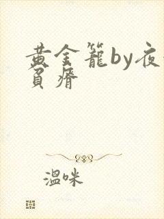 黄金笼by夜很贫瘠封面