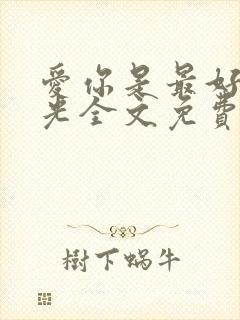 爱你是最好的时光全文免费阅读