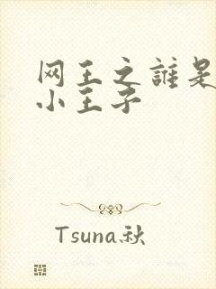 网王之谁是我的小王子