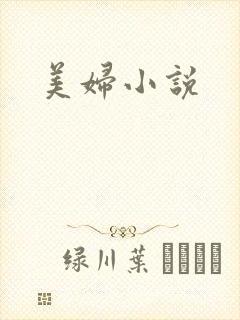 美妇小说