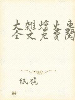 大杂烩火车小说全文免费阅读