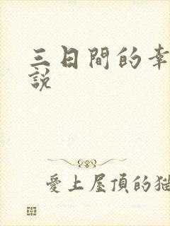 三日间的幸福小说