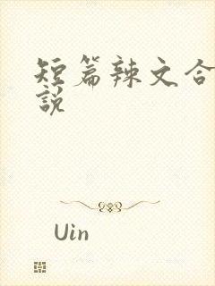 短篇辣文合集小说