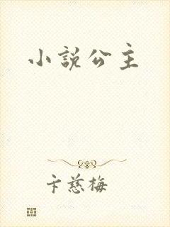 小说公主