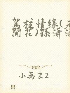 驾校情缘(老树开花)孙潇潇第一次趣笔阁