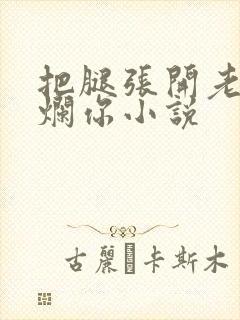 把腿张开老子臊烂你小说封面