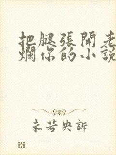 把腿张开老子臊烂你的小说