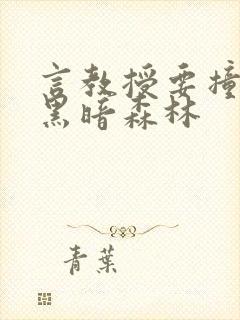 言教授要撞坏了黑暗森林