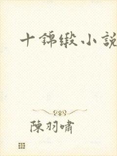 十锦缎小说
