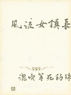 风流女镇长封面