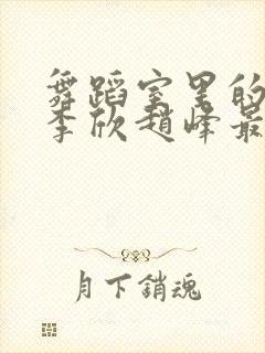 舞蹈室里的景色李欣赵峰最新章节