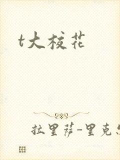 t大校花