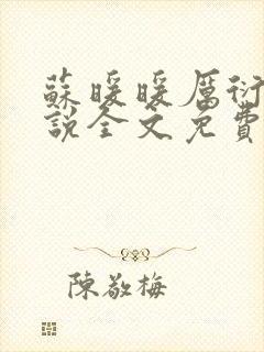 苏暖暖厉衍琛小说全文免费阅读