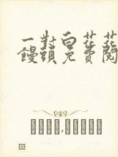 一对白花花的大馒头免费阅读封面