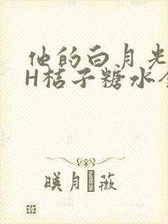 他的白月光HVH桔子糖水全文