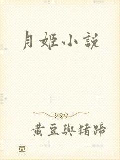 月姬小说