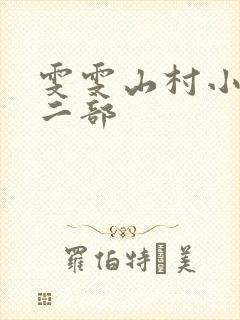 雯雯山村小说第二部封面