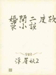 婚开二度欣欣向荣小说
