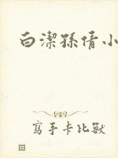 白洁孙倩小说封面