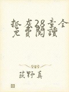 抓灰28章全部免费阅读