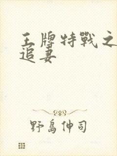 王牌特战之军少追妻封面