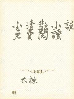 小清欢小说全文免费阅读