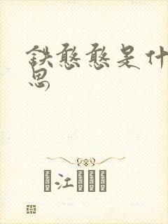 铁憨憨是什么意思封面