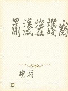 星汉灿烂小说无删减在线阅读