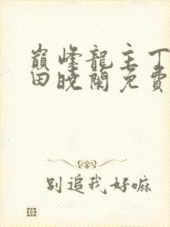 巅峰龙主丁长顺田晓兰免费阅读