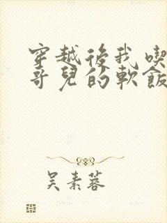 穿越后我吃到了哥儿的软饭炉山灰封面