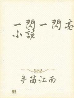 一闪一闪亮星星小说